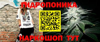 крисы Татарск