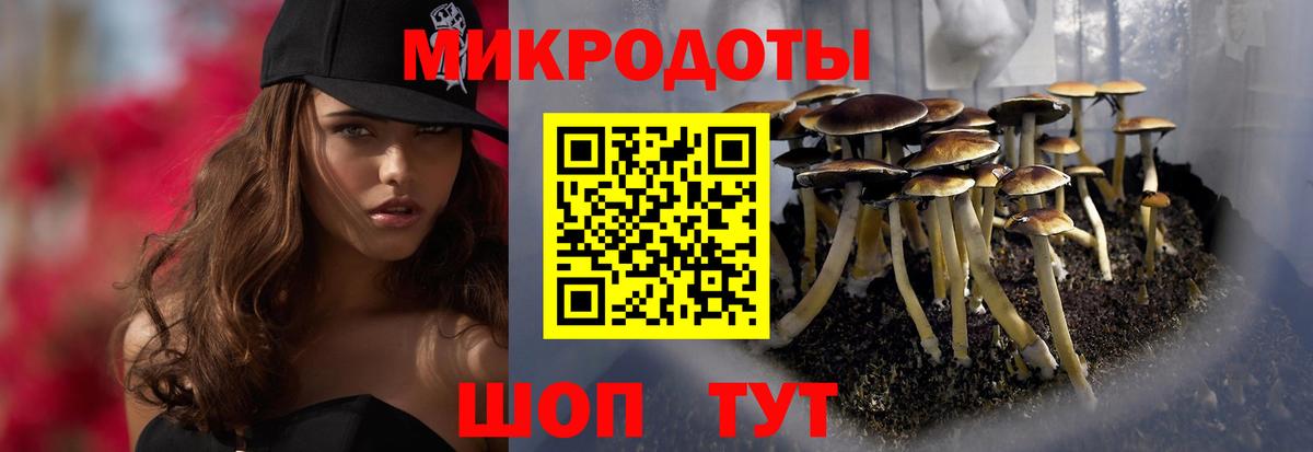 Псилоцибиновые грибы Psilocybe  Вход с VPN  Еманжелинск 